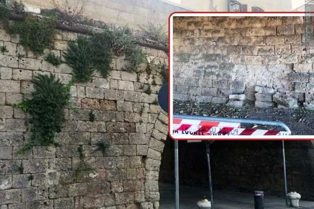 Incuria e vegetazione infestante, la Muraglia di Bari sta cadendo a pezzi: ma nessuno fa nulla 